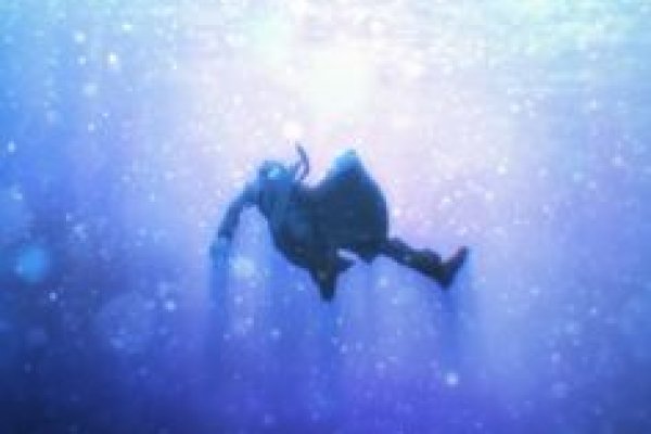 Кракен актуальная ссылка kraken torion net