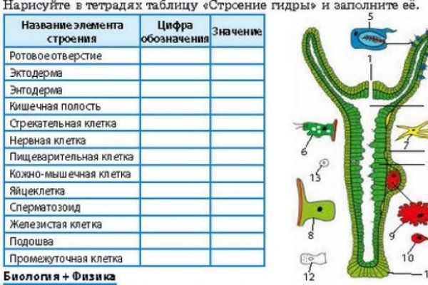 Ссылка на кракен маркет
