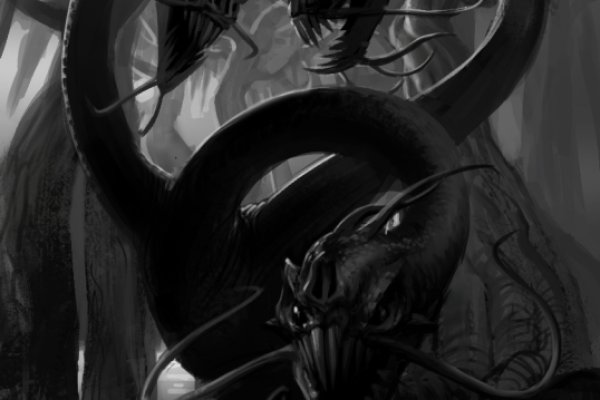 Kraken 20at