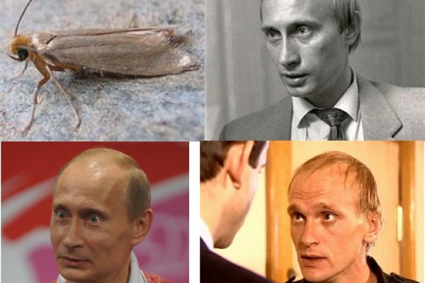 Kra35.cc Вход на сайт главная страница