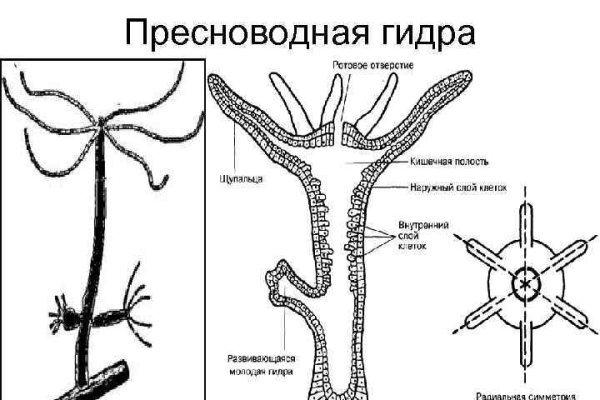 Kraken зеркало стор