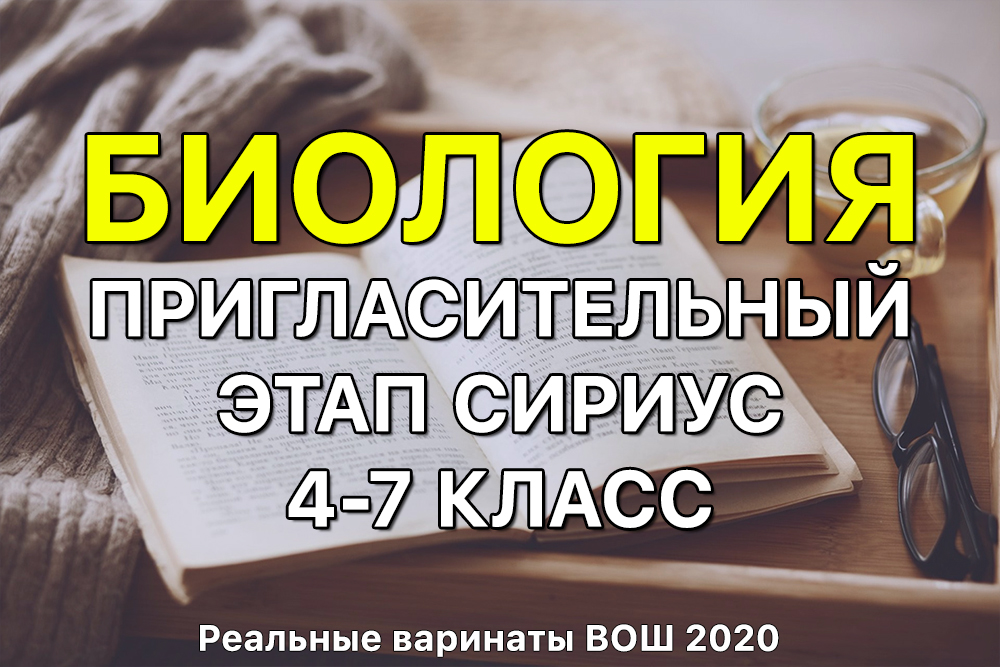 Kra35.cc